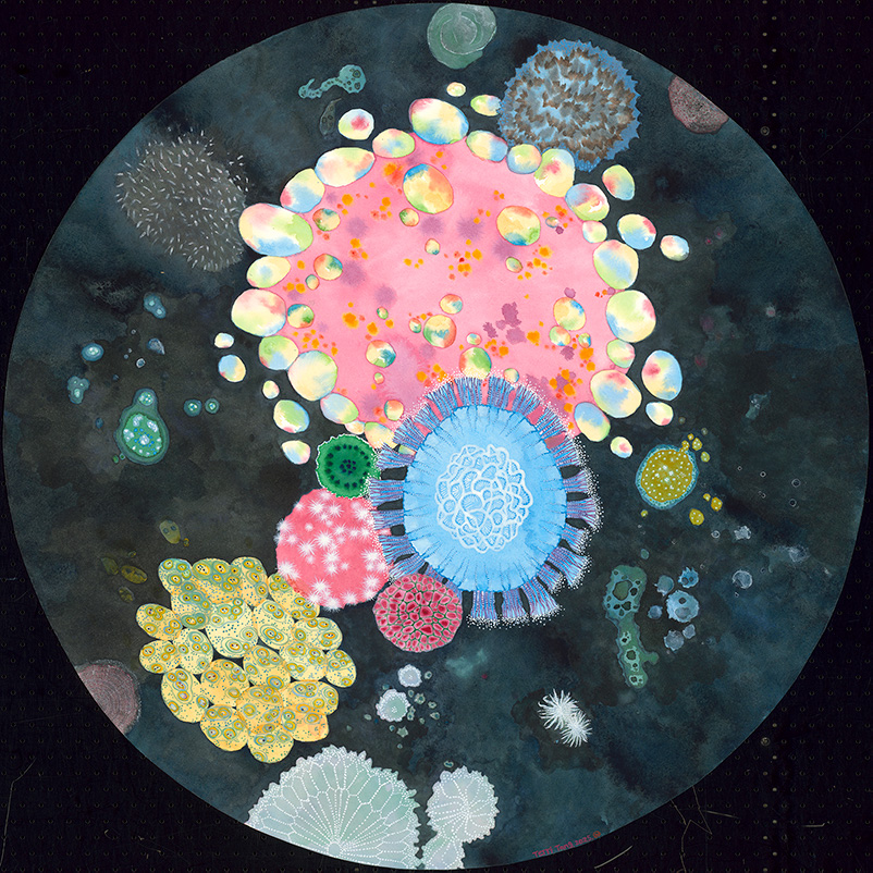 看見看不見－微觀生命的想像宇宙特展花絮