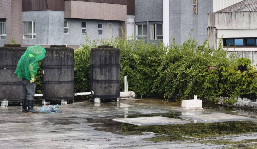 【社區安全】本館發現虎頭蜂，立即通報並摘除蜂窩，維護員工、遊客及社區居民安全